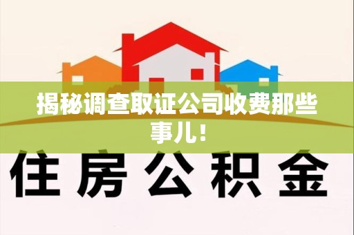 南长揭秘调查取证公司收费那些事儿！