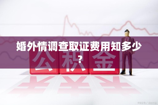 南长婚外情调查取证费用知多少？
