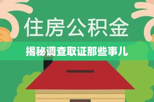 南长揭秘调查取证那些事儿