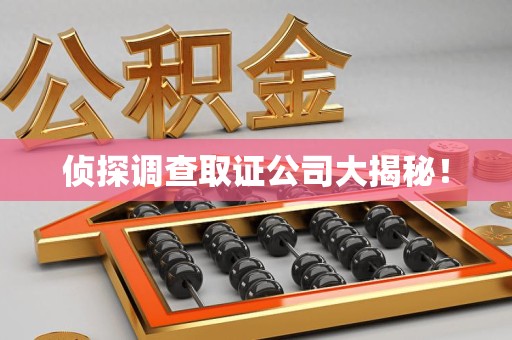 南长侦探调查取证公司大揭秘！