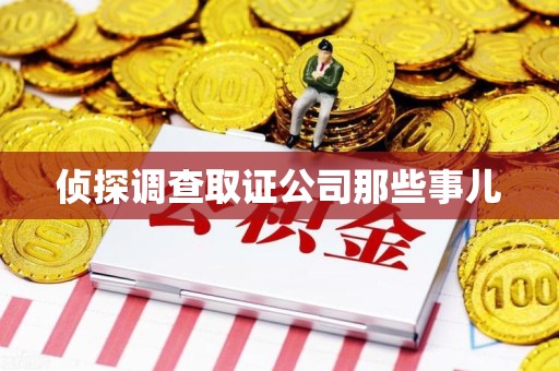 南长侦探调查取证公司那些事儿