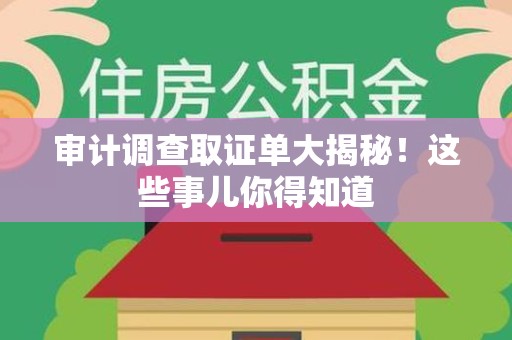 南长审计调查取证单大揭秘！这些事儿你得知道