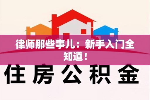 南长律师那些事儿：新手入门全知道！