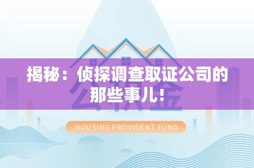 南长揭秘：侦探调查取证公司的那些事儿！