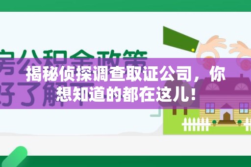 南长揭秘侦探调查取证公司，你想知道的都在这儿！