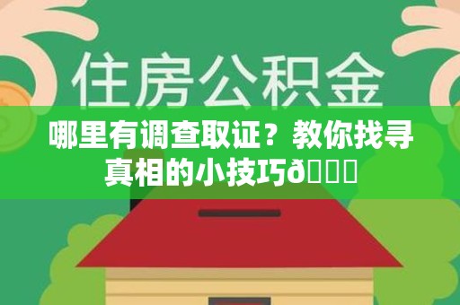 南长哪里有调查取证？教你找寻真相的小技巧😎