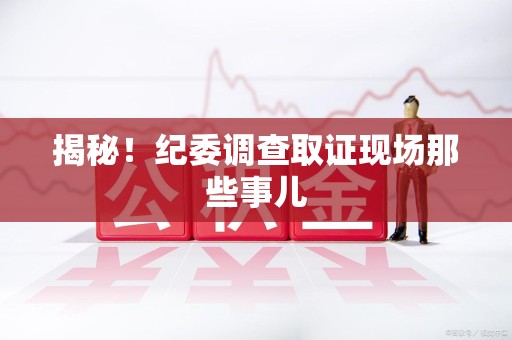 南长揭秘！纪委调查取证现场那些事儿