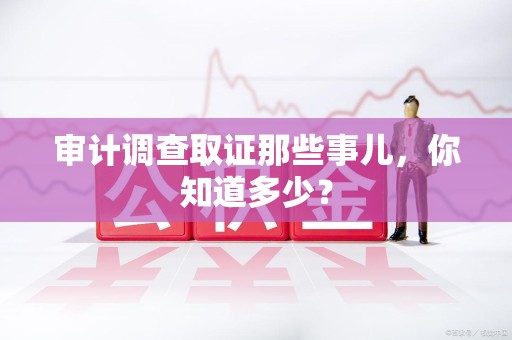 南长审计调查取证那些事儿，你知道多少？