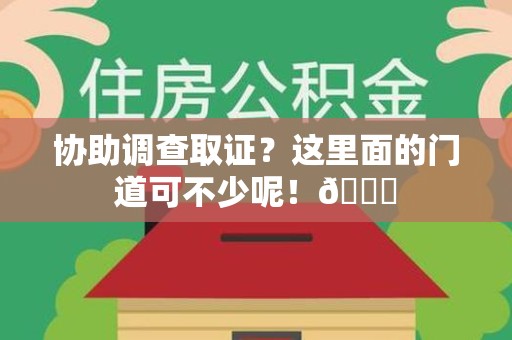南长协助调查取证？这里面的门道可不少呢！😎