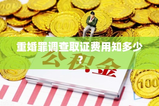 南长重婚罪调查取证费用知多少？
