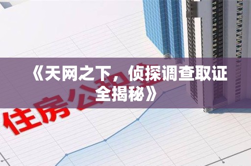 南长《天网之下，侦探调查取证全揭秘》