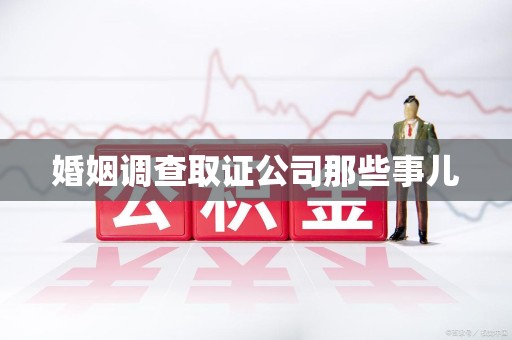 南长婚姻调查取证公司那些事儿