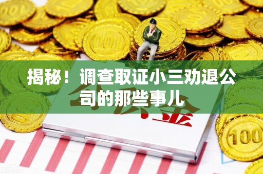 南长揭秘！调查取证小三劝退公司的那些事儿