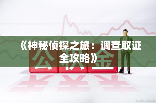 南长《神秘侦探之旅：调查取证全攻略》