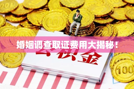 南长婚姻调查取证费用大揭秘！