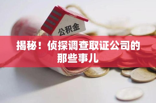 南长揭秘！侦探调查取证公司的那些事儿