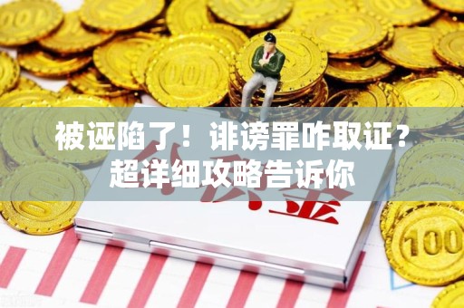 南长被诬陷了！诽谤罪咋取证？超详细攻略告诉你