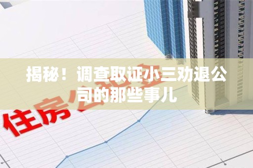 南长揭秘！调查取证小三劝退公司的那些事儿