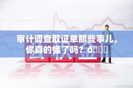 南长审计调查取证单那些事儿，你真的懂了吗？😎