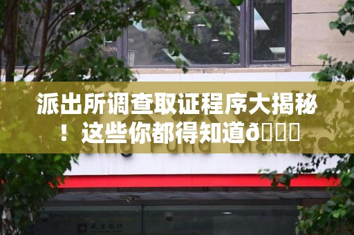南长派出所调查取证程序大揭秘！这些你都得知道😉