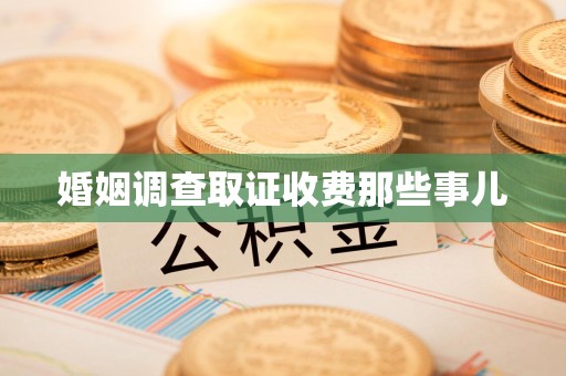 南长婚姻调查取证收费那些事儿