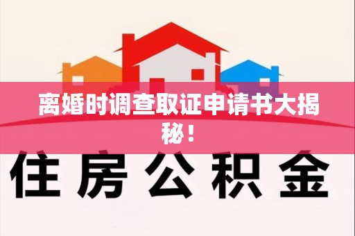 南长离婚时调查取证申请书大揭秘！