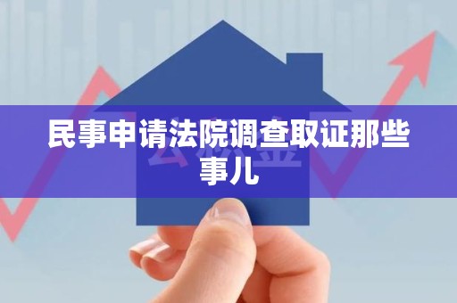 南长民事申请法院调查取证那些事儿